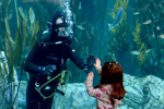 High Five after presentation