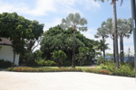 Park Landscape