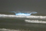 Bioluminescent Waves