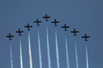 Canadian Snowbirds