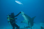 Isaac Playing with the Shark