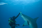 Isaac Playing with the Shark