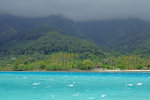 Lagoon