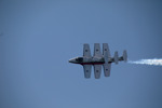 Canadian Snowbirds
